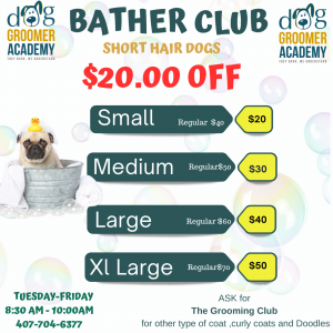 grooming for short hair dog