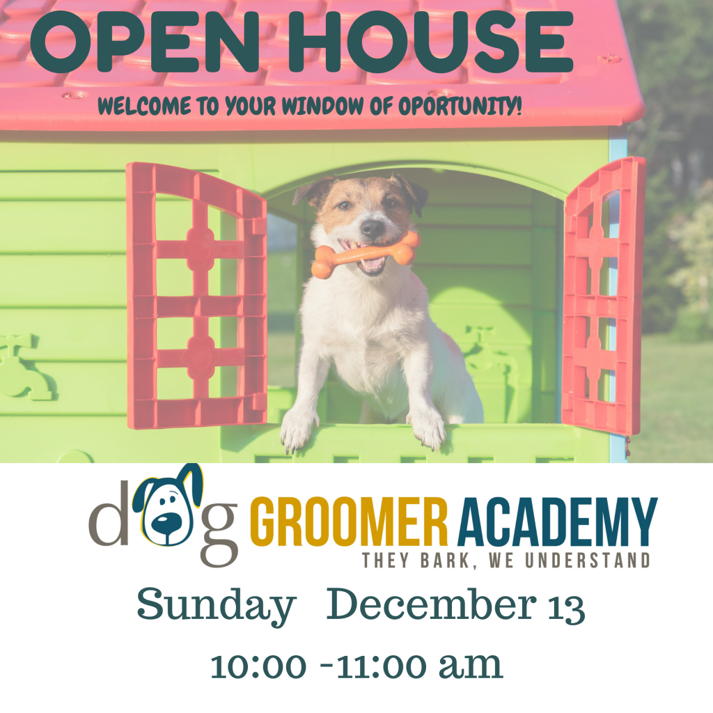 Open House / Casa Abierta Florida Dog Groomer Academy Dog Trainer School