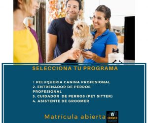 dog groomer professional, entrenador de perros,pet sitter, asistente de groomer., peluqueria canina 